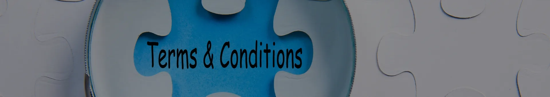 imagen banner términos y condiciones | karma sex & shop