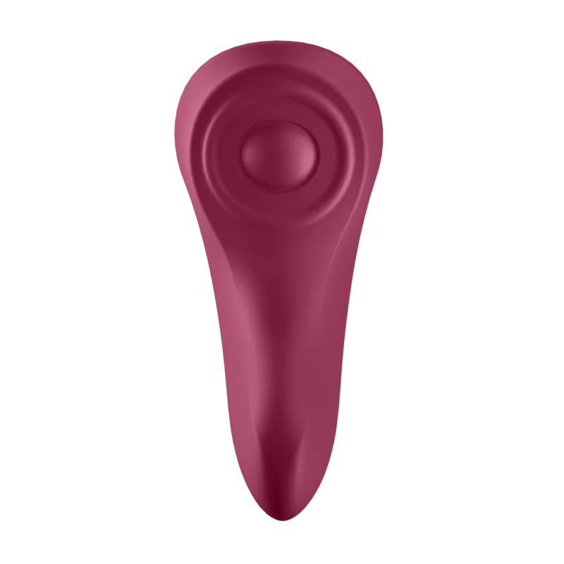 satisfyer - sexy secret panty imagen 7 | karma sex & shop